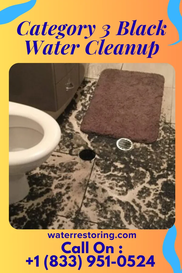 Category 3 Black Water Cleanup in Bass Lake, OH