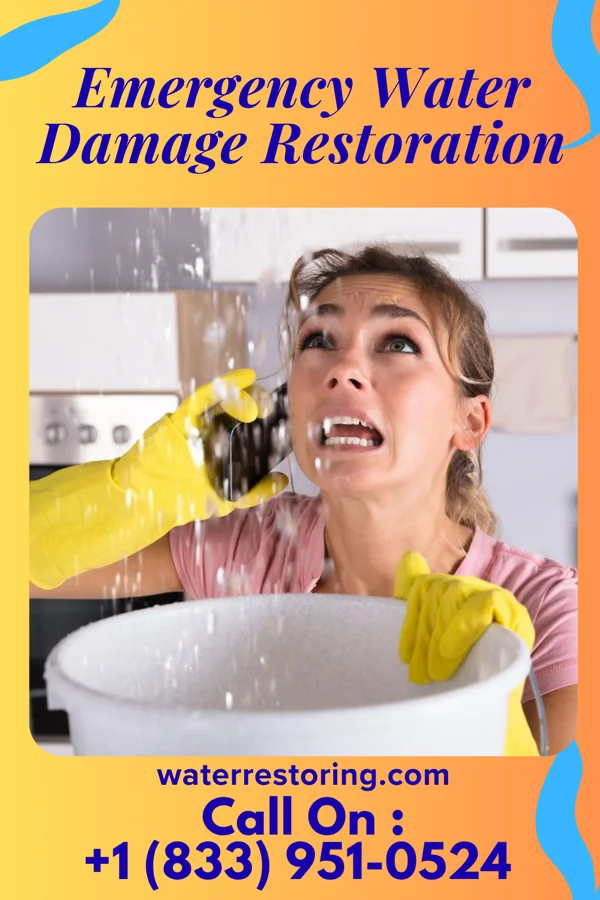 Emergency Water Damage Restoration in Bass Lake, OH